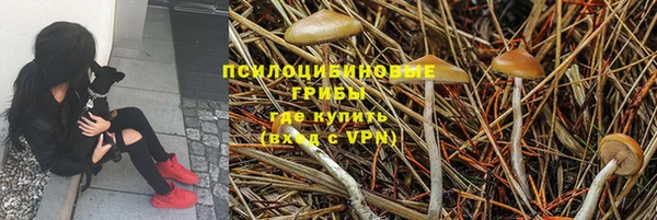 первитин Дмитров