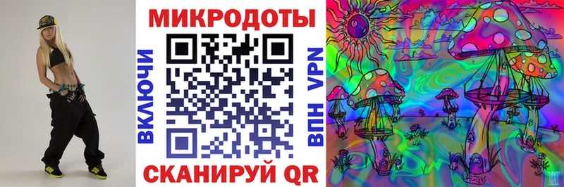 Псилоцибиновые грибы Psilocybine cubensis  Зверево 